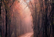 欧博:德尚:感谢迈尼昂帮助球队晋级 姆巴佩光芒四射.