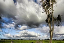 欧博:辽媒:郭艾伦是否会离开辽篮 本周将会有最终答案.