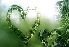 欧博:MVP榜:约基奇力压亚历山大返榜首 詹姆斯升至第五.