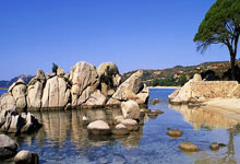 欧博:弗林蓬:最后时刻失球有些不走运;我们创造了很多机会.